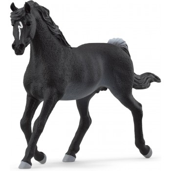 Stallone  Arabo  -  Schleich