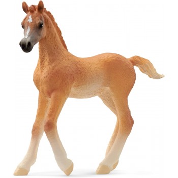 Puledro  Arabo  -  Schleich