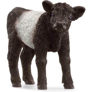 Vitello  Galloway  -  Schleich