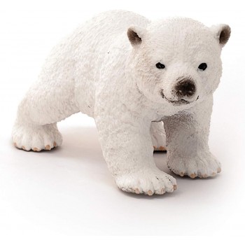 Cucciolo  di  Orso  Polare...