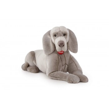 Weimaraner  Wolfgang "XL"-...