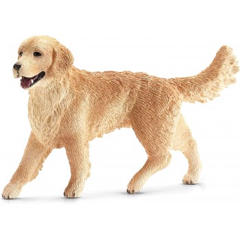 Golden  Retriever  Femmina...
