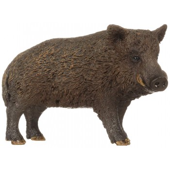 Cinghiale - Schleich