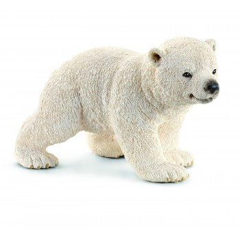 Cucciolo di Orso Polare che...