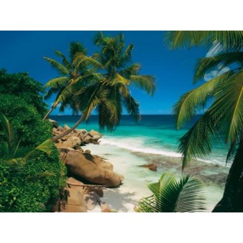 3000 pz. Isole Seychelles...