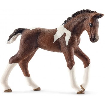 Puledro Trakehner -Schleich