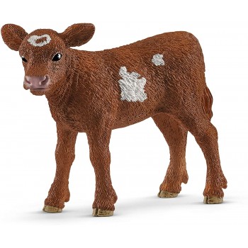 Vitello Texas Longhorn -...