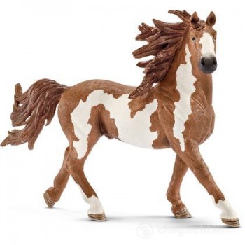 Stallone Pinto - Schleich