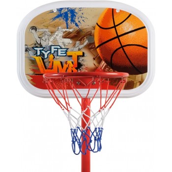 Basket a Colonna  -Villa