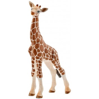 Cucciolo di Giraffa - Schleich