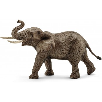 Elefante Africano Maschio -...