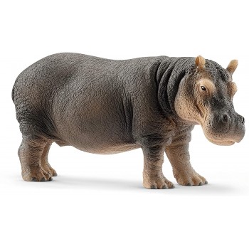 Ippopotamo - Schleich