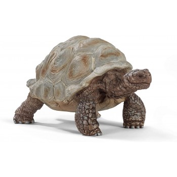 Tartaruga  gigante - Schleich