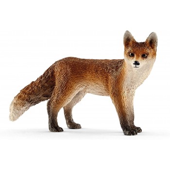 Volpe  -  SChleich