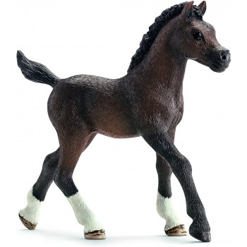 Puledro Arabo - Schleich