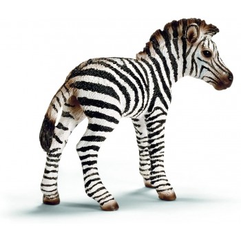 Zebra Puledro - Schleich