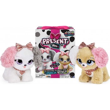 Present  Pets  Fancy  -...