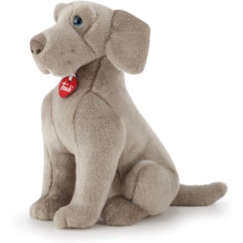 Weimaraner  Wolfgang "M" -...