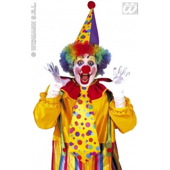 Set Clown Adulto - Widmann