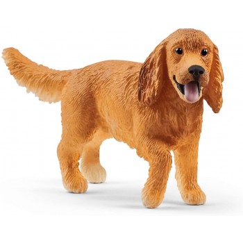 Cane  Cocker  Spaniel...