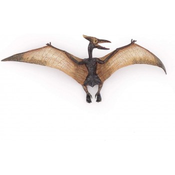 Pteranodonte - Papo
