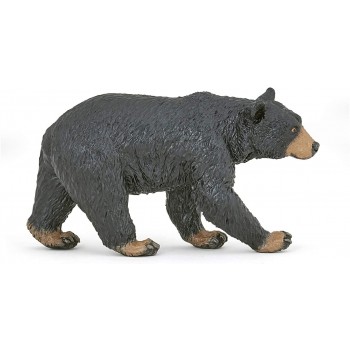 Orso  Nero  Americano-  Papo