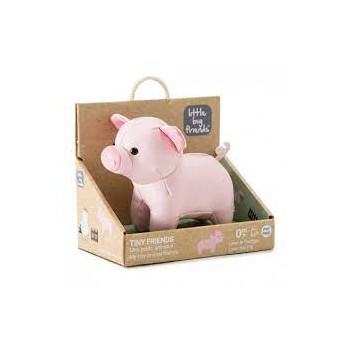 Maialino  Sonaglino  -...