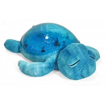 Tranquil Turtle - Cloud B