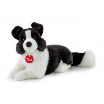 Border  Collie  Scott "M" -...