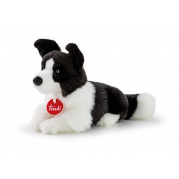 Border  Collie  Scott "S"-...