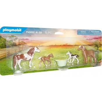 71000  2  Pony  Icelandic...