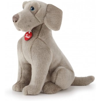 Weimaraner  Wolfgang "M"-...