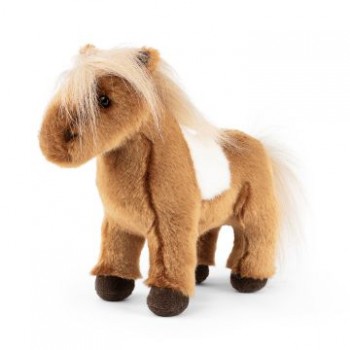 Pony  delle  Shetland-...