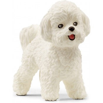 Cane  Bichon  Frise  -Schleich