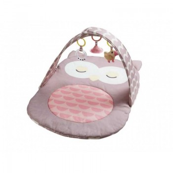 Palestrina  Gufo  -  Hape