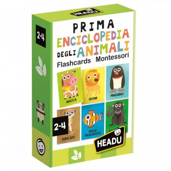 Flashcards  Enciclopedia...
