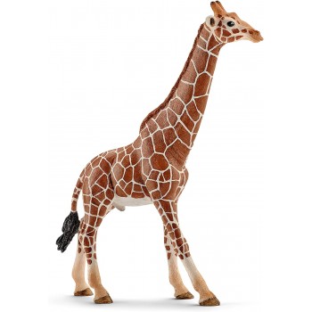 Giraffa Maschio - Schleich