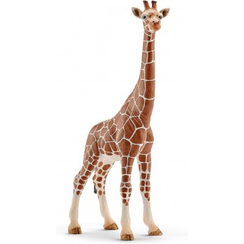 Giraffa Femmina - Schleich