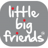 Little Big Friends